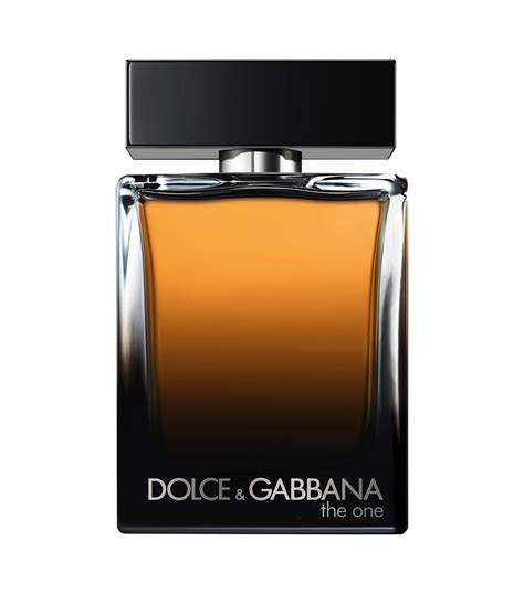 the one dolce gabbana pour homme